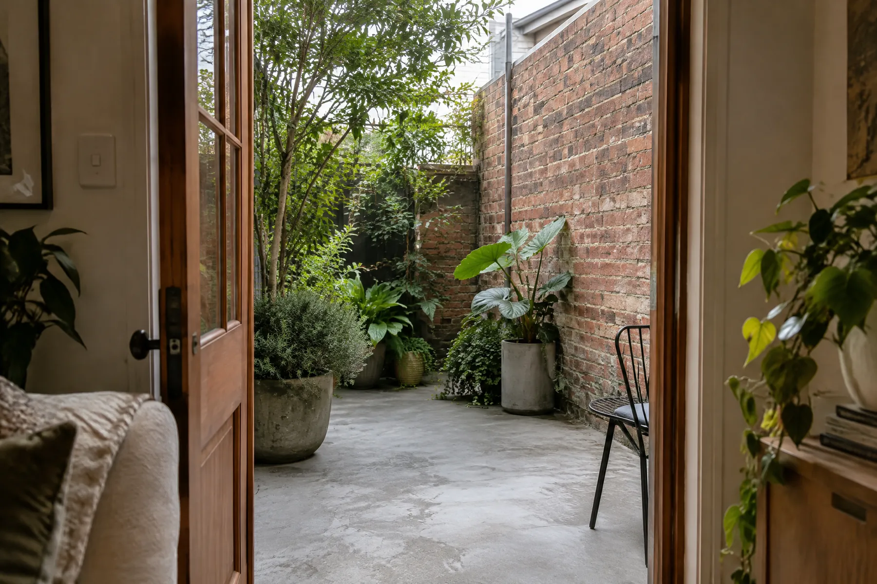 Illustrative compact concrete courtyard with a tree opening